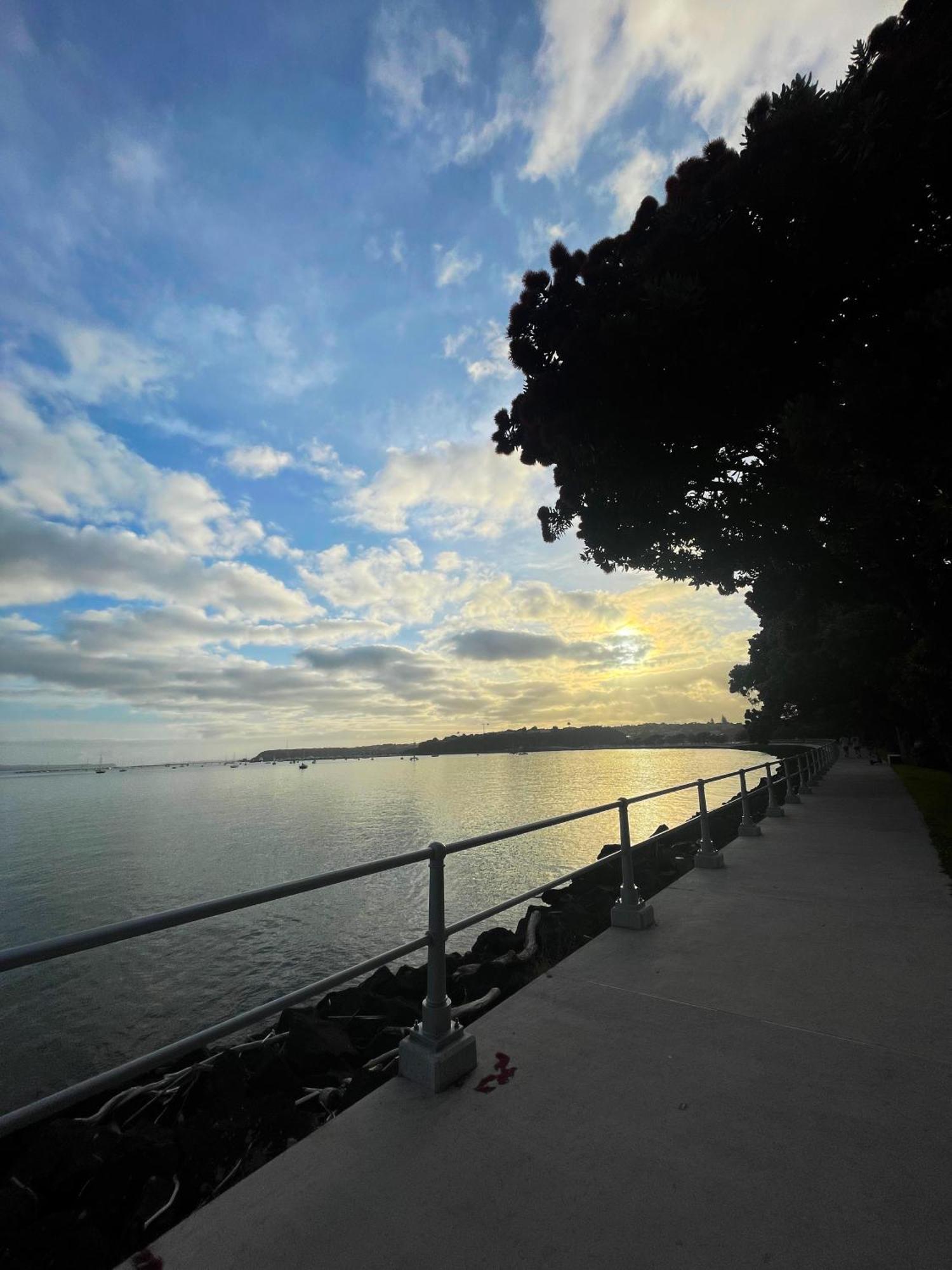 Luxury Apartment - Parking - Hot Tub - Stunning Views Auckland Dış mekan fotoğraf